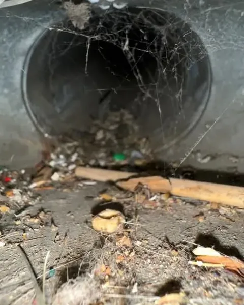 Before: Cobwebs and debris blocking a duct takeoff